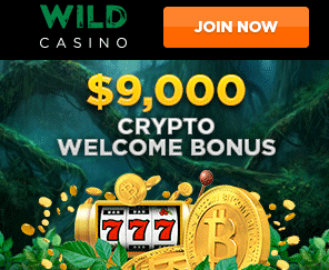 Wild Casino