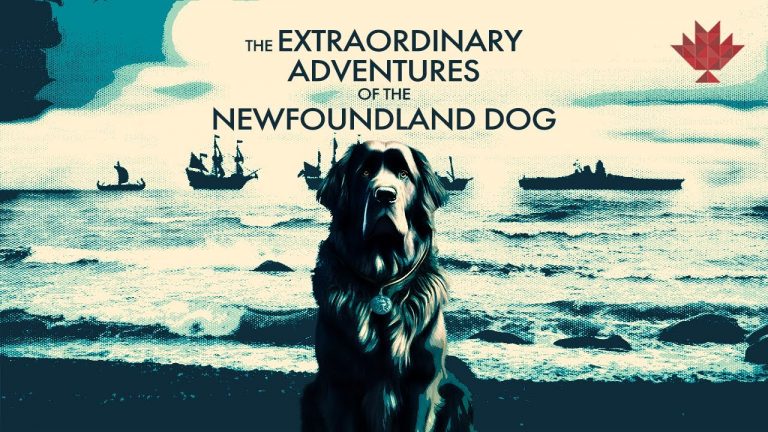 The Extraordinary Adventures of the Newfoundland Dog