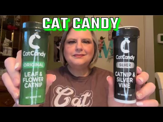 CAT-CANDY.COM | Fun REVIEW for my Boys