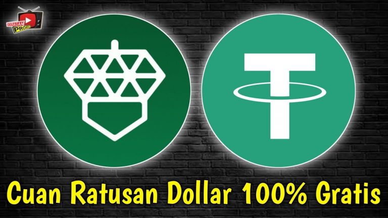 Cuan Ratusan Dollar Dari Airdrop Ini Maksimalkan Cuan Gratis, Acorn Box, Acn Token, Acorn Protocol