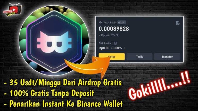 Cuan 24 USDT/Minggu Airdrop Catly.io Instant Withdraw Ke Binance, Maksimalkan Cuanya 100% Gratis