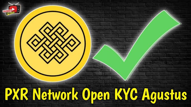 PXR Network Update Project Blockchain Yang Berpotensi Cuan, Agustus Open Mainnet