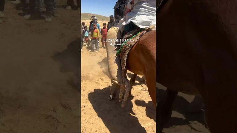 Buzkashi Game: The Thrilling Central Asian Horse Game #shorts #travel #afghanistan #buzkashi