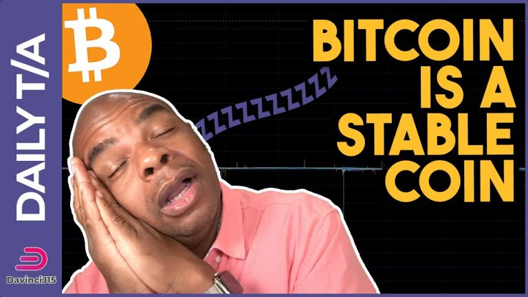 Bitcoin is a Stable Coin NOW!