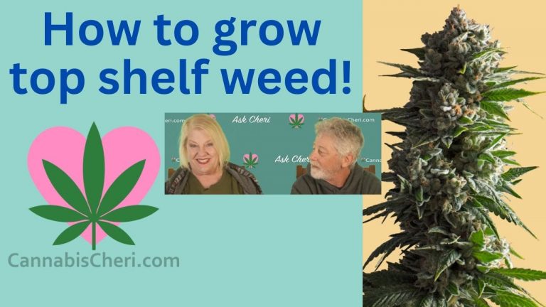 How to grow top shelf cannabis!