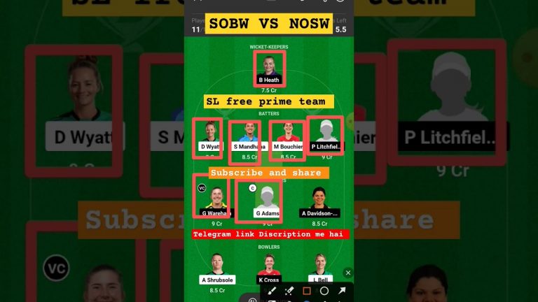 Sobw vs nosw l nosw vs sobw dream11 team l vision11free prime team l 5 lakhs free giveaway l gl 1cr