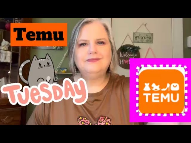 TEMU TUESDAY | Small Organizer Haul #temutuesday