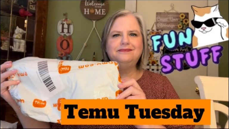 TEMU TUESDAY | FUN STUFF for EVERYONE #temu