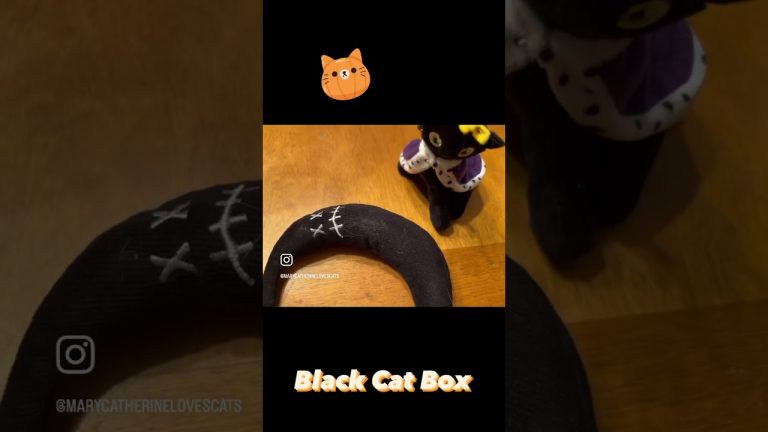 CATLADY BOX OCTOBER 2023 | BLACK CAT BOX #shorts #catladybox