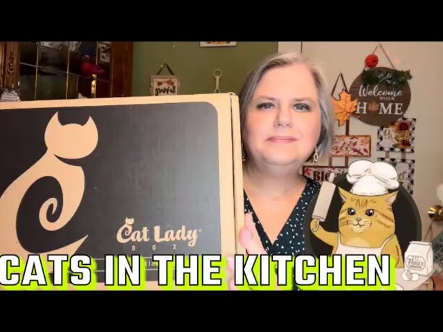 CATLADY BOX NOVEMBER 2023 | CATS IN THE KITCHEN