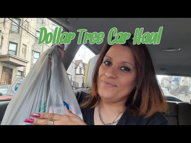 Amazing Dollar Tree Car Haul | Vlogmas 4