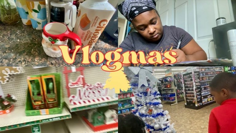 Vlogmas | 9-5 work from home agent | Family Dollar + mini haul | I need some advice | Tap In