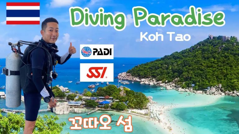 Best Scuba Diving School in Thailand (I got my certificate in just 3 DAYS!) Useful Info