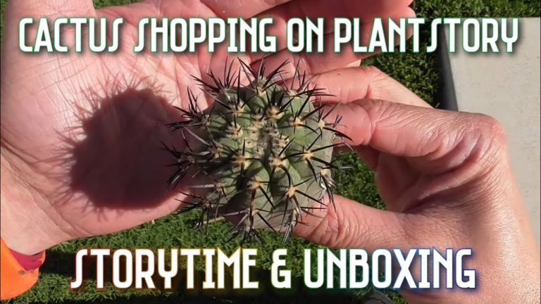 Cactus Shopping on PlantStory ft. Something2GrowOn | Storytime+Unboxing | Cookie & Jenny on Webcam!