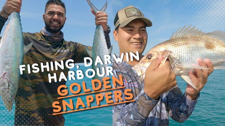 FISHING IN DARWIN HARBOUR | GOLDEN SNAPPERS | NORTHERN TERRITORY, AUSTRALIA