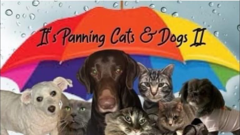 Panning Cats & Dogs Project Pan || Jan Update || #panningpetspp #projectpan #pantasticladiescollab