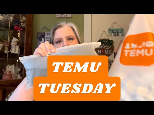 TEMU TUESDAY SMALL HAUL