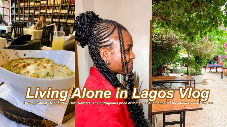 Living Alone Diaries|The OUTRAGEOUS prices of TOMATOES|Brunch with my Friend|Braids#livinginnigeria