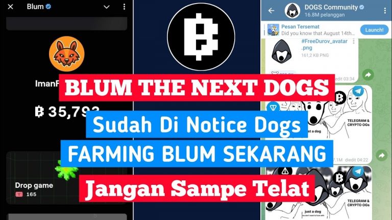 Jangan Sampe Telat Cara Mengerjakan Airdrop Blum Next Jp Seperti Dogs