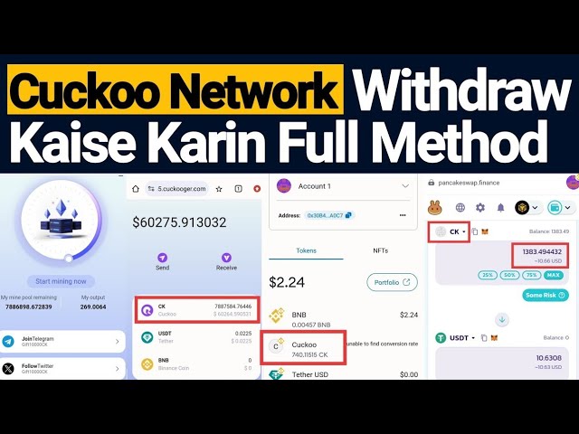 Cuckoo Network New Updates|| Cuckoo Network Kyc Verification Process || Cuckoo Network Withdraw