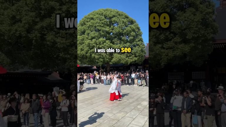 JAPANESE WEDDING in TOKYO #shorts #japan #tokyo #shrine