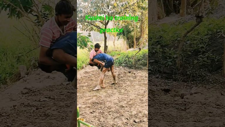 Kushti training practie @mrshatrudhannishad Bhai+Bhai #kushti #shorts #viralvideo #fitness #gym sss