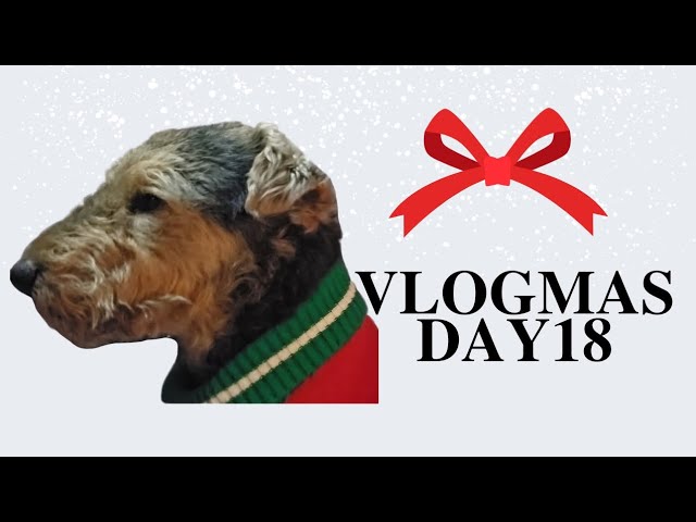 Vlogmas Day 18 #vlogmas #vlogmas2024