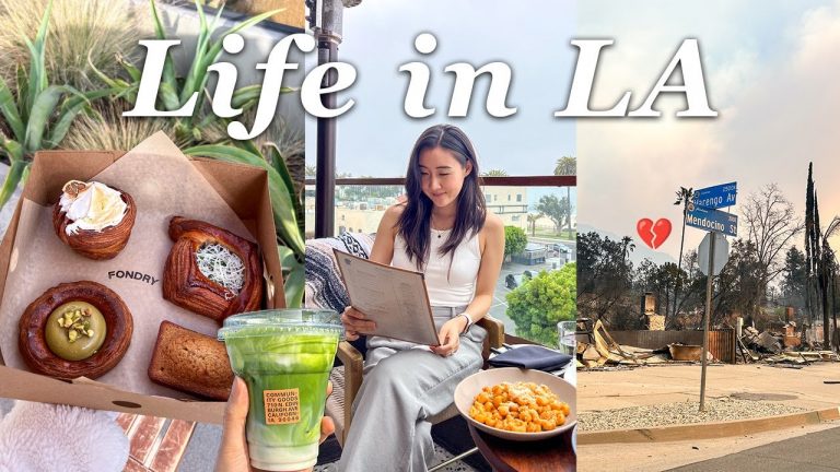 LA vlog: what life is like in Los Angeles, Koreatown food, before SoCal fires