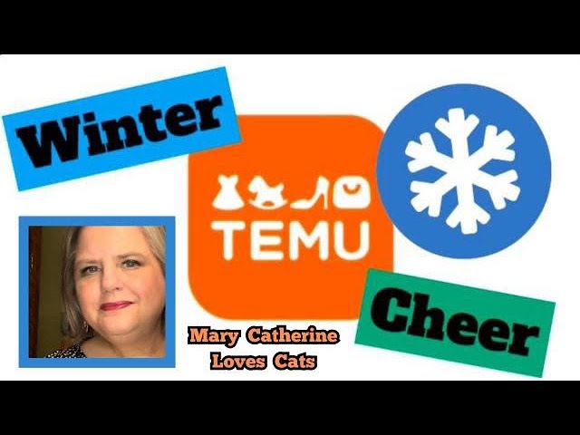 TEMU WINTER CHEER COLLAB with 8 CHANNELS